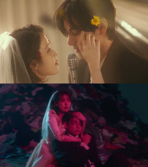 러브 윈즈 올 뮤직비디오